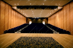 Dallas Museum of Art Horchow Auditorium
