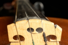 Violin Close-up